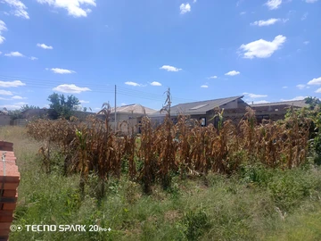 Stands & Residential Land