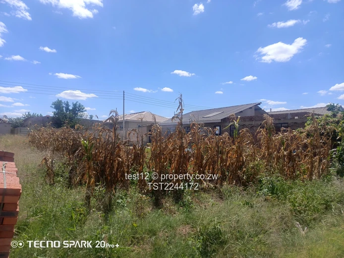 Budiriro stand for sale  (Sole Mandate)