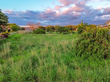 Stands & Residential Land