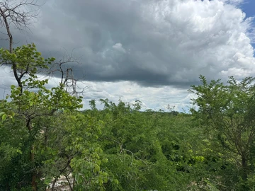 Commercial & Industrial Land