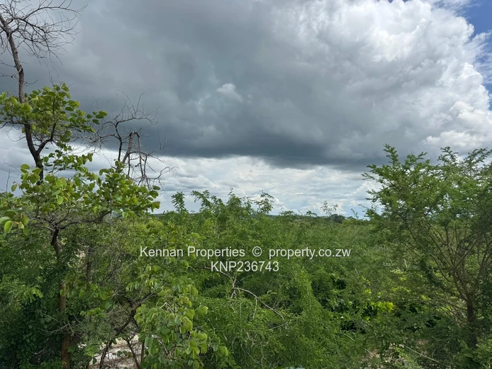 Beautiful Land for Sale in Kadoma 206 497 square metres