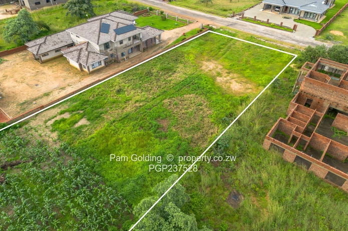 Arlington stand for sale