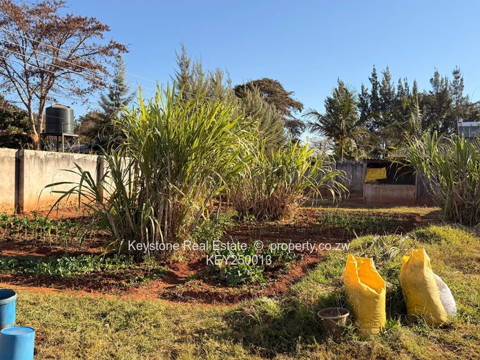 Residential Stand For Sale | Gletwin