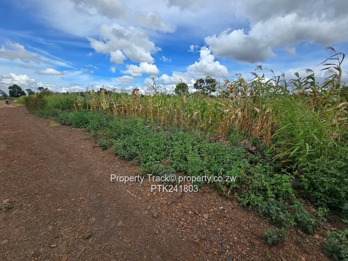 Ready to build stand in Warren Park D
