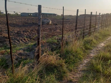 Farm & Agricultural Land