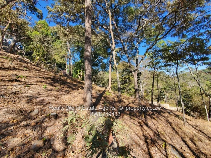 Residential Stand for Sale – Glen Lorne