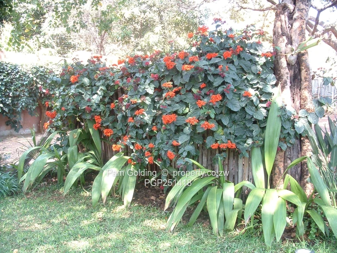 Charming Family Home In Victoria Falls Town (Sole Mandate)