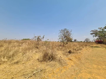 Farm & Agricultural Land