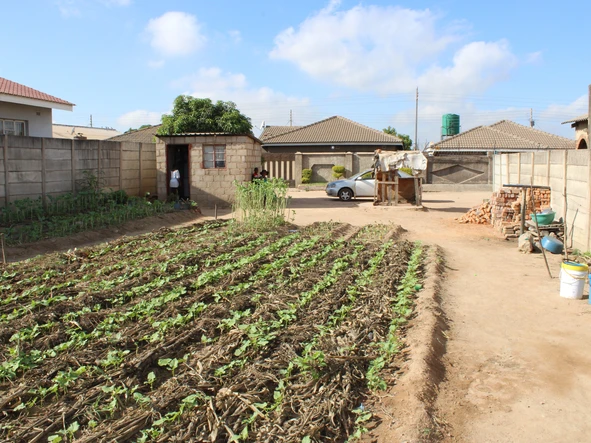 Stands & Residential Land