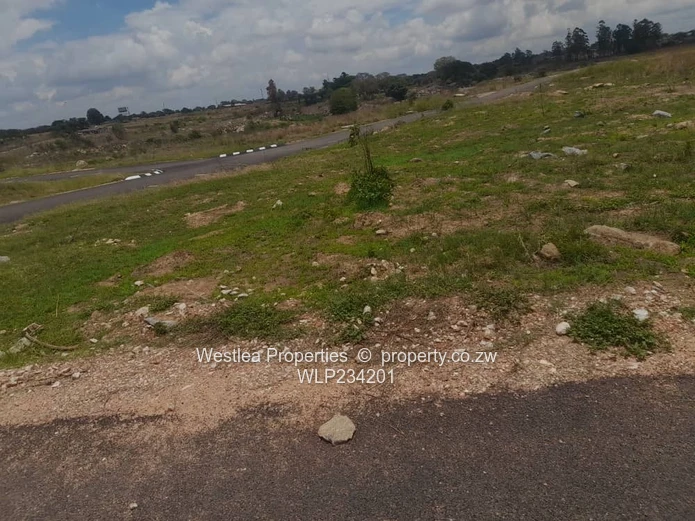 An opportunity not to miss