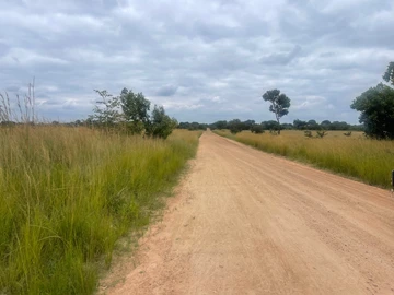 Farm & Agricultural Land