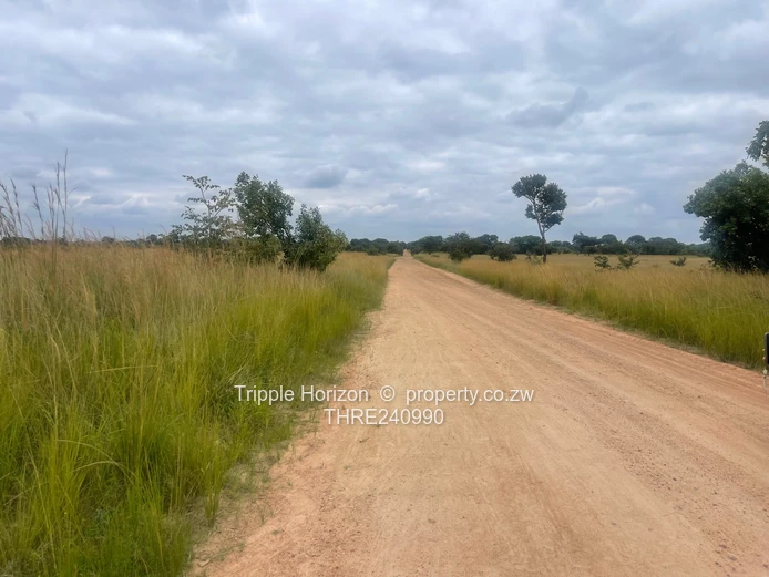 18,000m² Norton Farm — Orchard, Grazing & Main Access