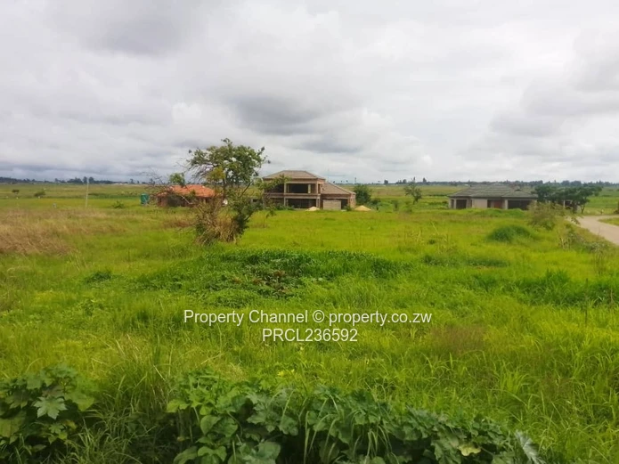 Goodhope Stand For Sale