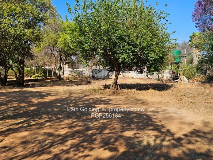 The Ultimate Canvas On 6019sqm