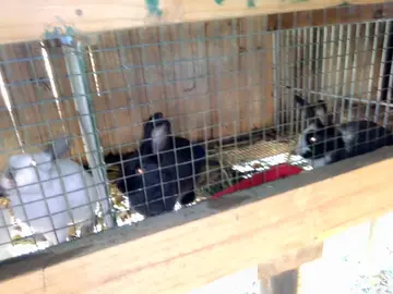 Farm & Agricultural Land