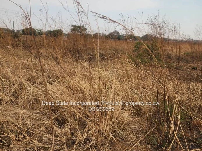 Glaudina stand for sale. 