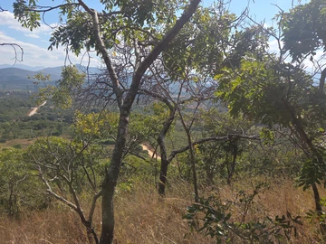 Farm & Agricultural Land