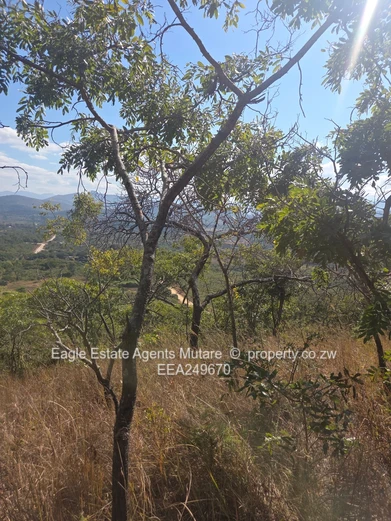 Toronto. Penhalong.Mutare.
