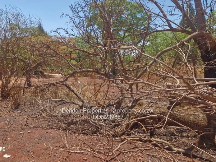 Land for redevelopment 