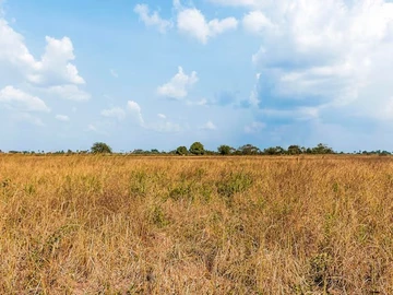 Farm & Agricultural Land