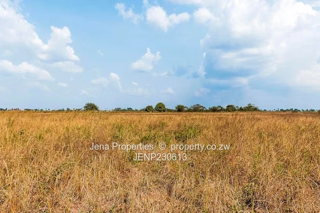 5 Ha. Chegutu Plot (Country Village)