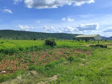 Farm & Agricultural Land