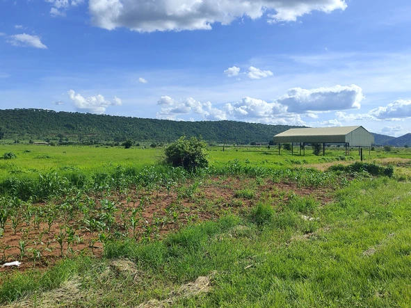 Farm & Agricultural Land