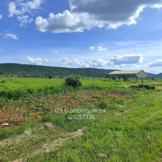 Kintyre estate plots for sale (Sole Mandate)