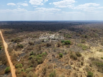 Farm & Agricultural Land