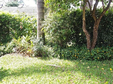 2 Bedroom Garden Flat