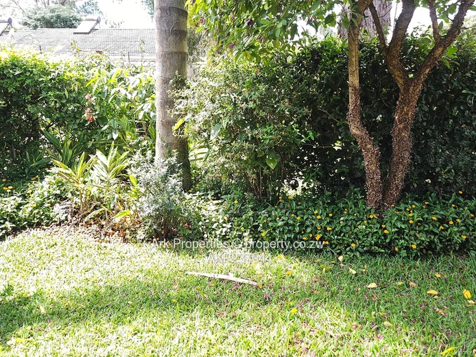 Duplex Garden Flat for Rent in Avondale