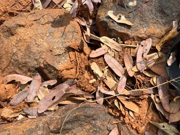 Commercial & Industrial Land