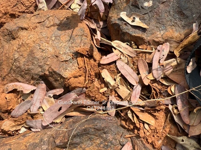 Makaha Gold Mine Opportunity