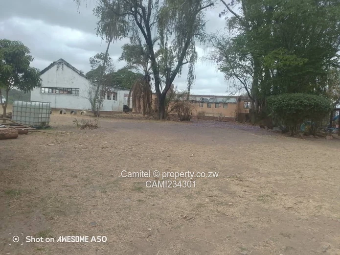 A good potential Investment