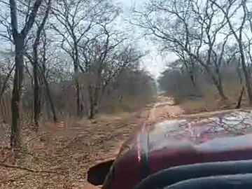 Farm & Agricultural Land