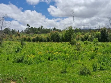 Farm & Agricultural Land