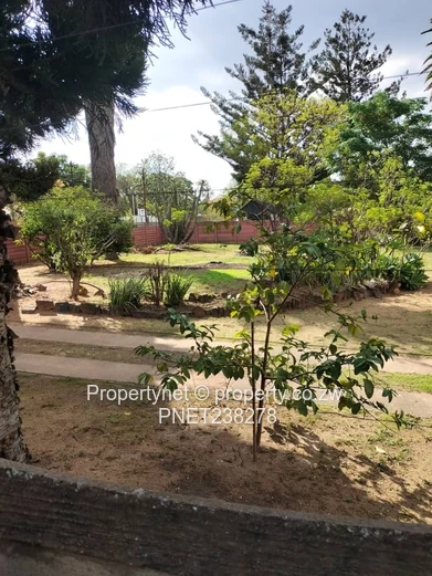 Investment Opportunity (Sole Mandate)