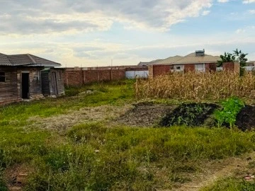 Stands & Residential Land
