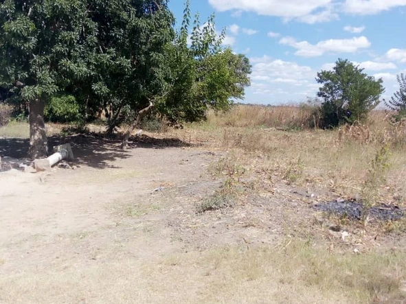 Farm & Agricultural Land