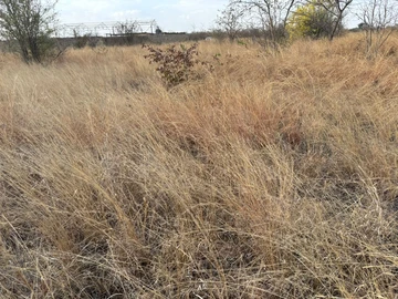 Commercial & Industrial Land