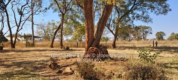1.18 Hectares Investment Property For Sale - Banket