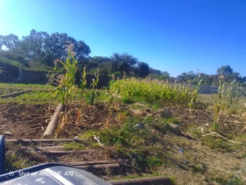 Commercial & Industrial Land