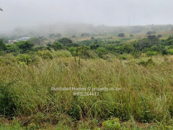 Chance to develop an  Industrial Estate