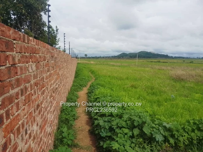 Goodhope Stand For Sale