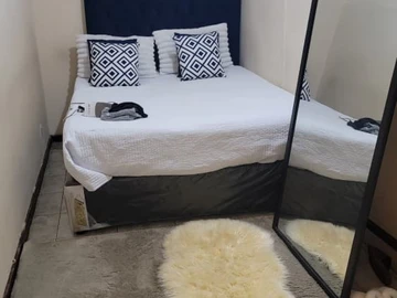 Flat & Apartment