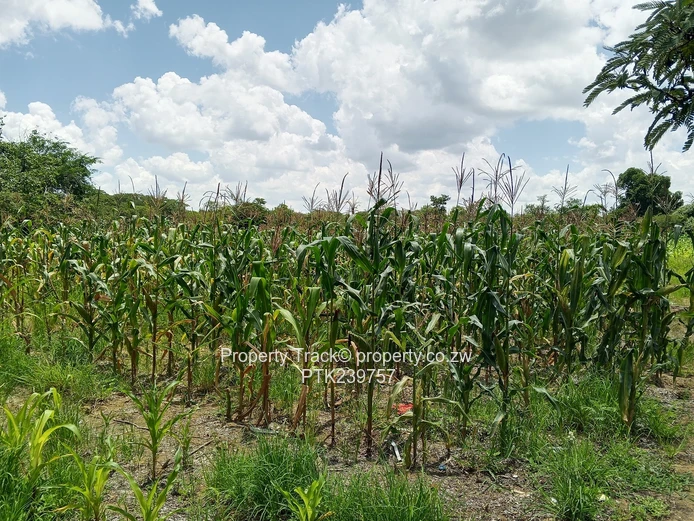 Agro-residential plots!