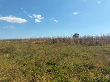 Farm & Agricultural Land