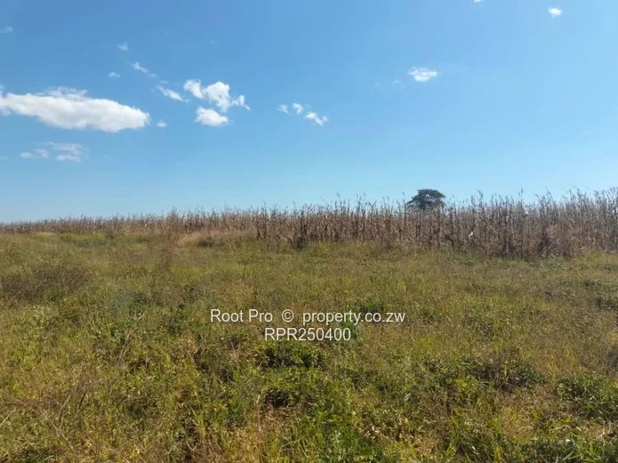 Bindura Aerodrome 