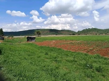 Farm & Agricultural Land