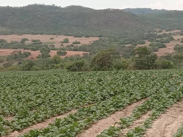 Farm & Agricultural Land